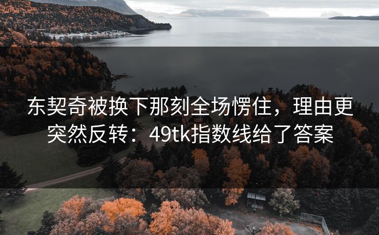 东契奇被换下那刻全场愣住，理由更突然反转：49tk指数线给了答案