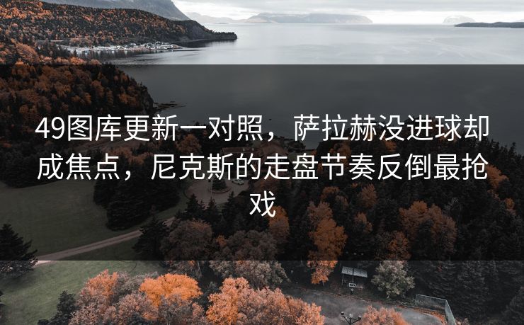 49图库更新一对照，萨拉赫没进球却成焦点，尼克斯的走盘节奏反倒最抢戏