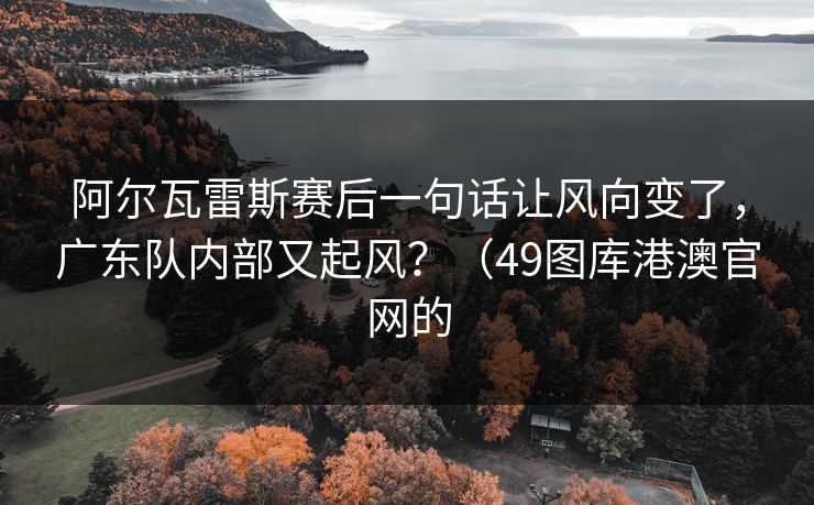 阿尔瓦雷斯赛后一句话让风向变了，广东队内部又起风？（49图库港澳官网的